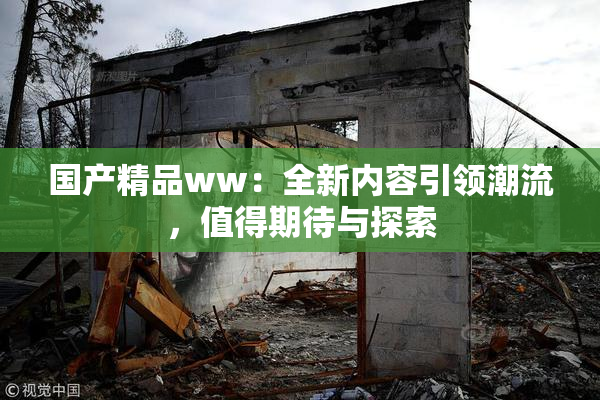 国产精品ww：全新内容引领潮流，值得期待与探索
