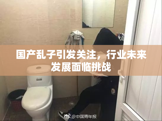 国产乱子引发关注，行业未来发展面临挑战