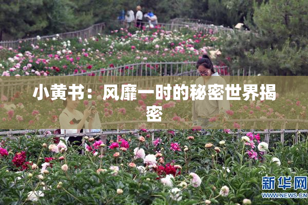 小黄书：风靡一时的秘密世界揭密