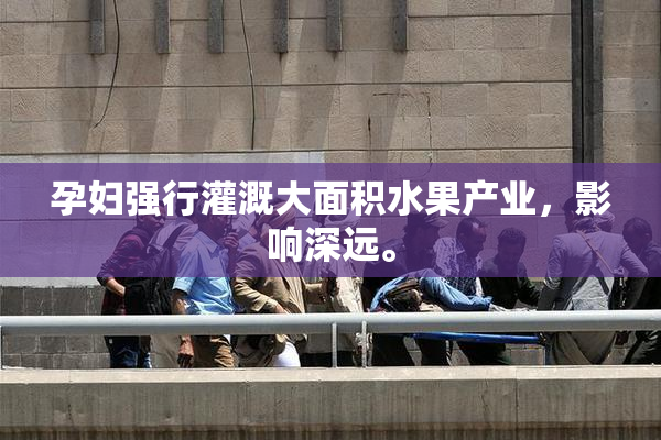 孕妇强行灌溉大面积水果产业，影响深远。