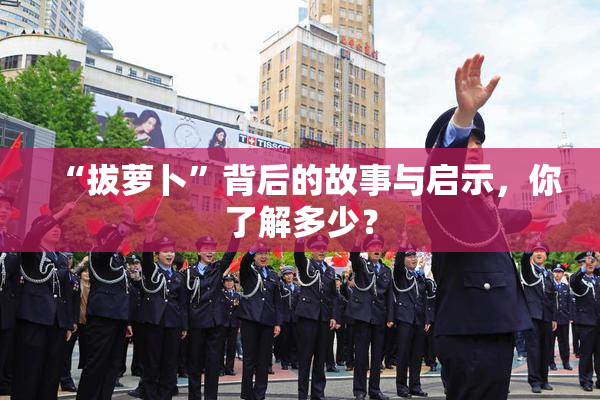 “拔萝卜”背后的故事与启示，你了解多少？