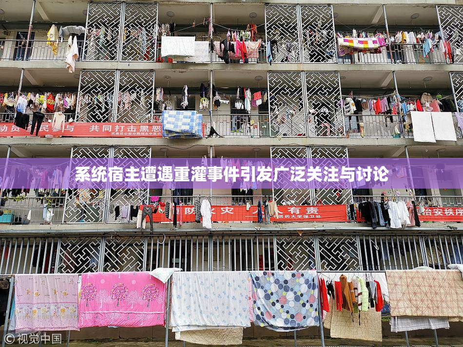 系统宿主遭遇重灌事件引发广泛关注与讨论