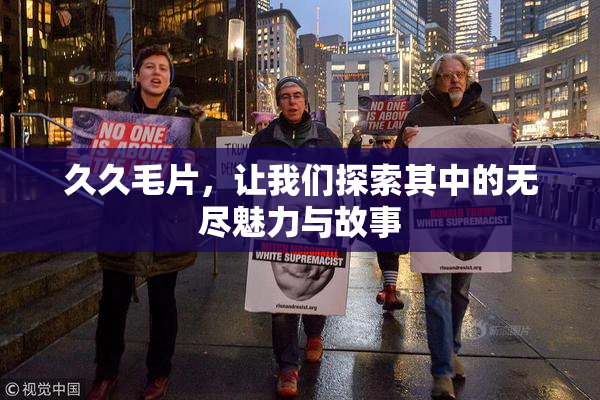 久久毛片，让我们探索其中的无尽魅力与故事