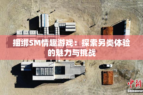 捆绑SM情趣游戏：探索另类体验的魅力与挑战