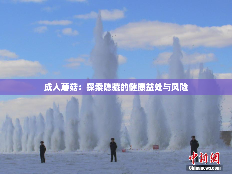 成人蘑菇：探索隐藏的健康益处与风险