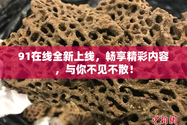 91在线全新上线，畅享精彩内容，与你不见不散！