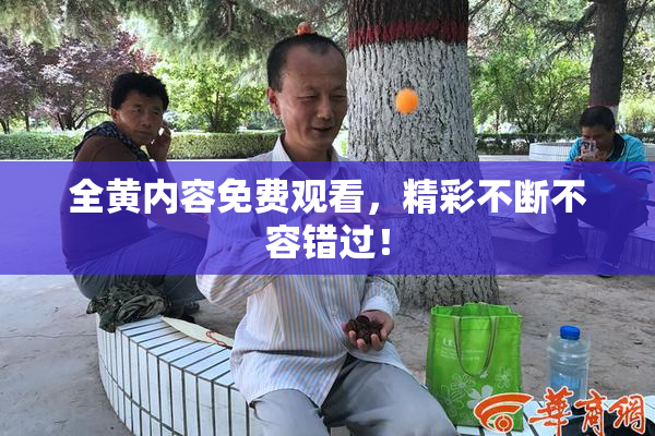 全黄内容免费观看，精彩不断不容错过！