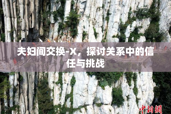 夫妇间交换-X，探讨关系中的信任与挑战