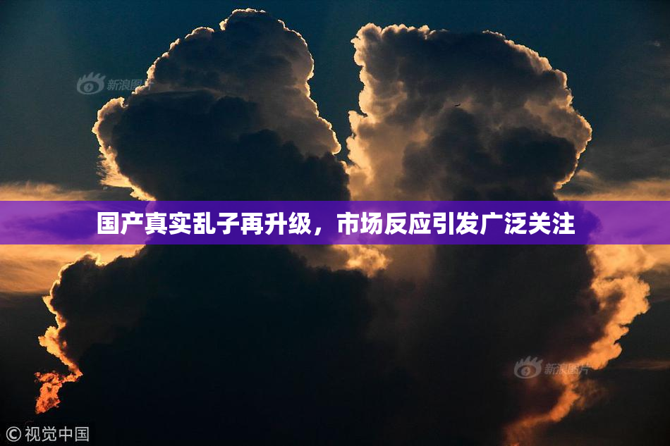 国产真实乱子再升级，市场反应引发广泛关注
