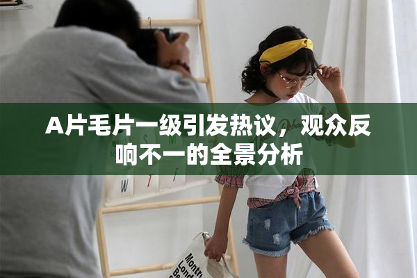 A片毛片一级引发热议，观众反响不一的全景分析