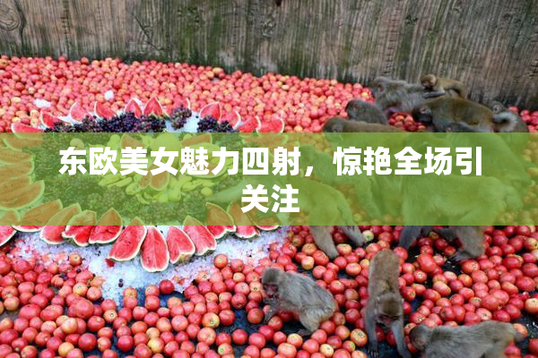 东欧美女魅力四射，惊艳全场引关注