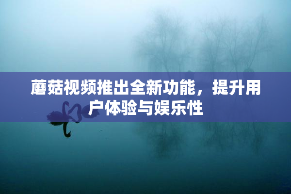 蘑菇视频推出全新功能，提升用户体验与娱乐性