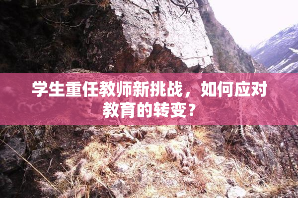 学生重任教师新挑战，如何应对教育的转变？
