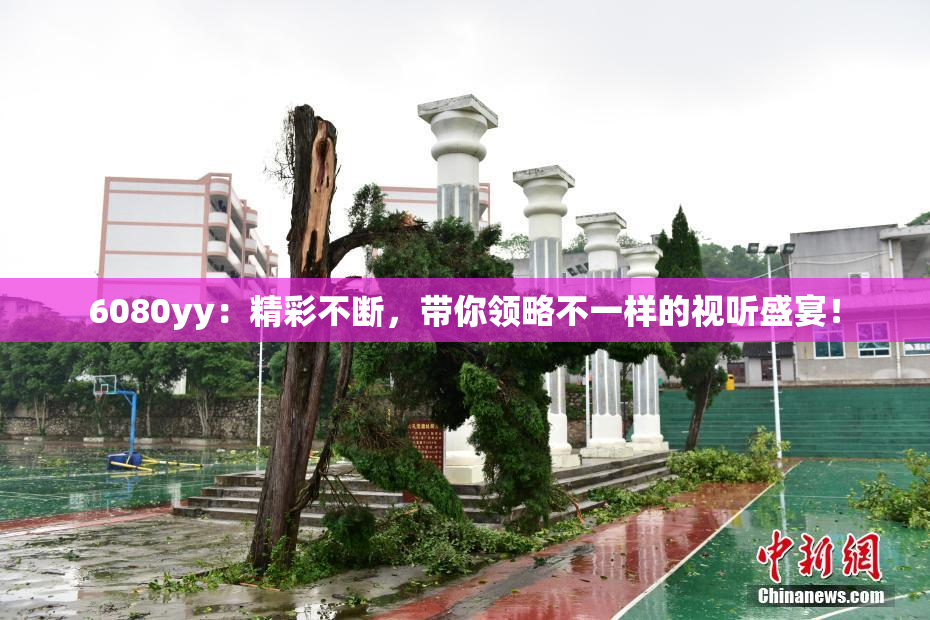 6080yy：精彩不断，带你领略不一样的视听盛宴！