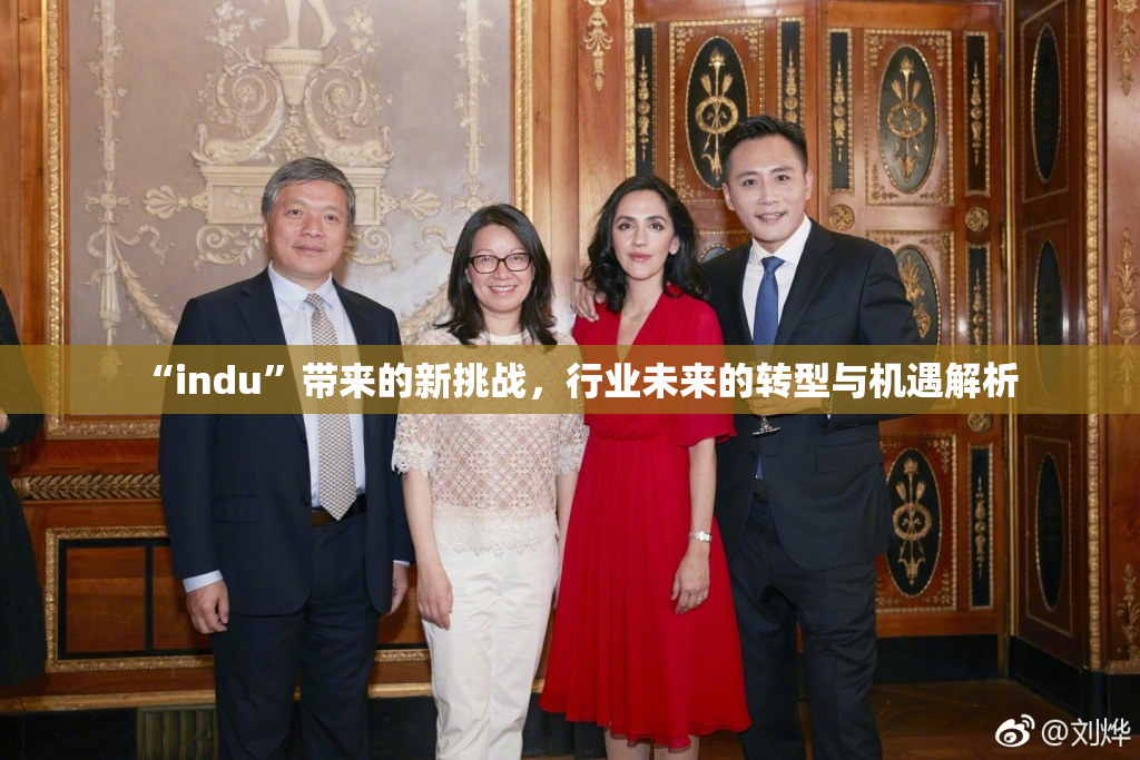 “indu”带来的新挑战，行业未来的转型与机遇解析