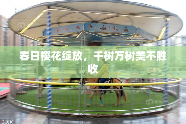 春日樱花绽放，千树万树美不胜收