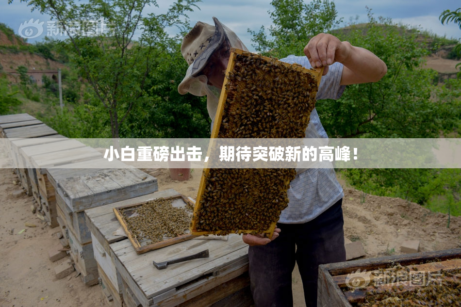 小白重磅出击，期待突破新的高峰！