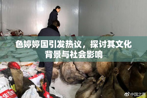 色婷婷国引发热议，探讨其文化背景与社会影响