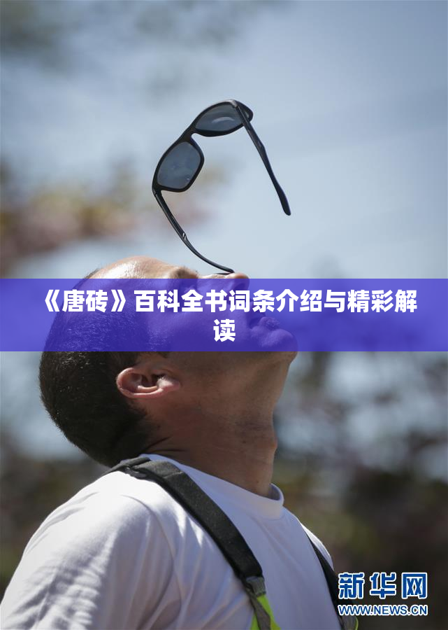 《唐砖》百科全书词条介绍与精彩解读