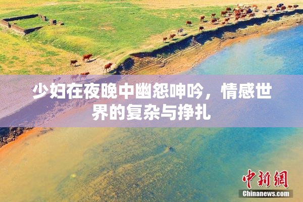 少妇在夜晚中幽怨呻吟，情感世界的复杂与挣扎