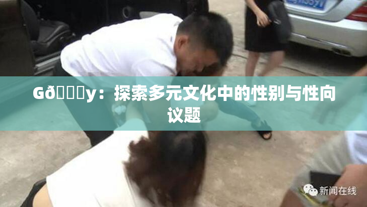G🈚y：探索多元文化中的性别与性向议题