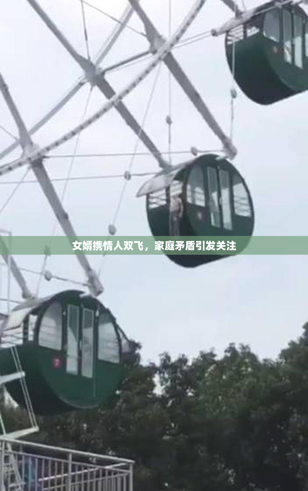 女婿携情人双飞，家庭矛盾引发关注