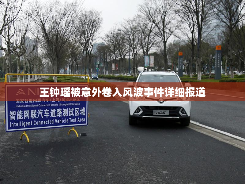 王钟瑶被意外卷入风波事件详细报道