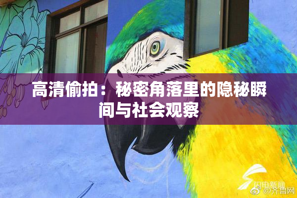 高清偷拍：秘密角落里的隐秘瞬间与社会观察
