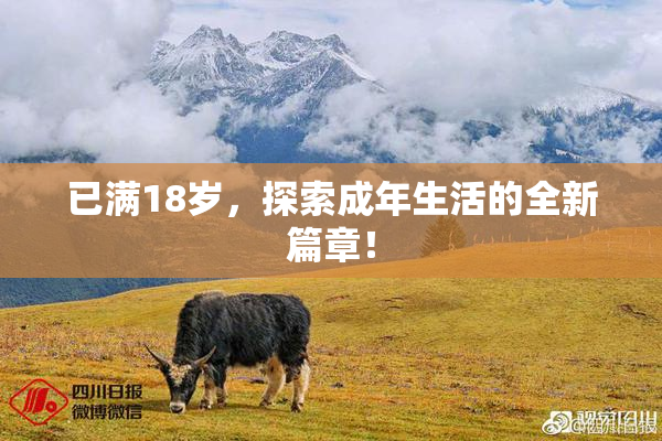 已满18岁，探索成年生活的全新篇章！