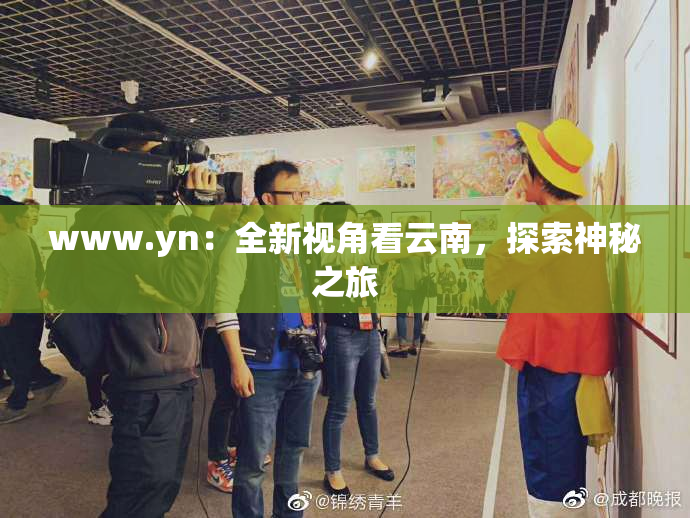 www.yn：全新视角看云南，探索神秘之旅