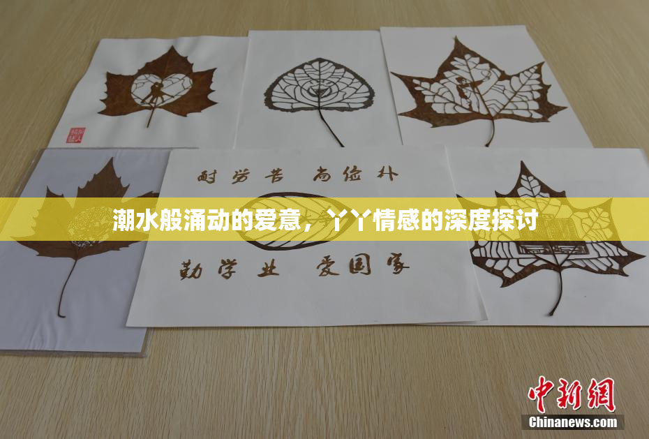 潮水般涌动的爱意，丫丫情感的深度探讨