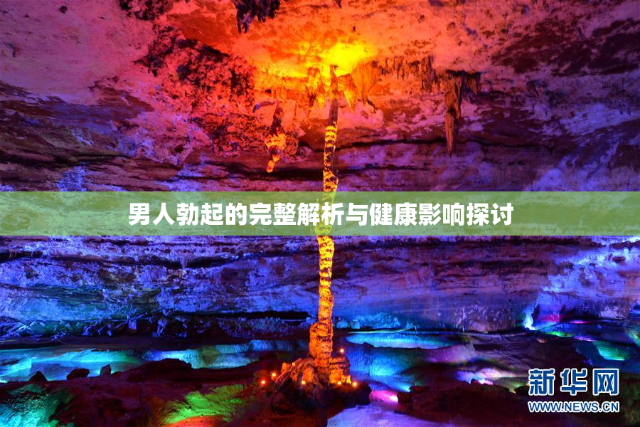 男人勃起的完整解析与健康影响探讨