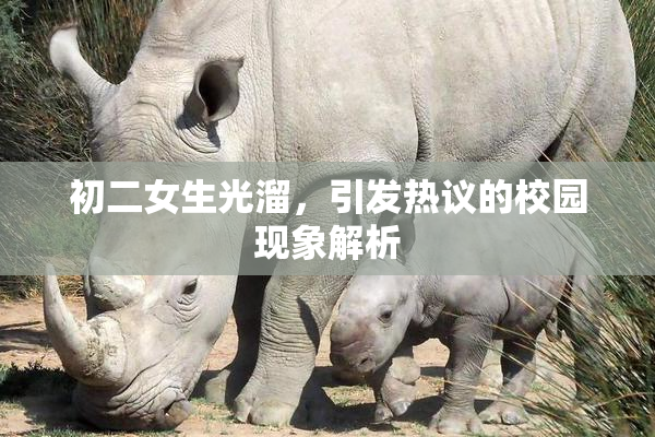 初二女生光溜，引发热议的校园现象解析