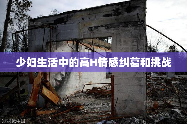 少妇生活中的高H情感纠葛和挑战