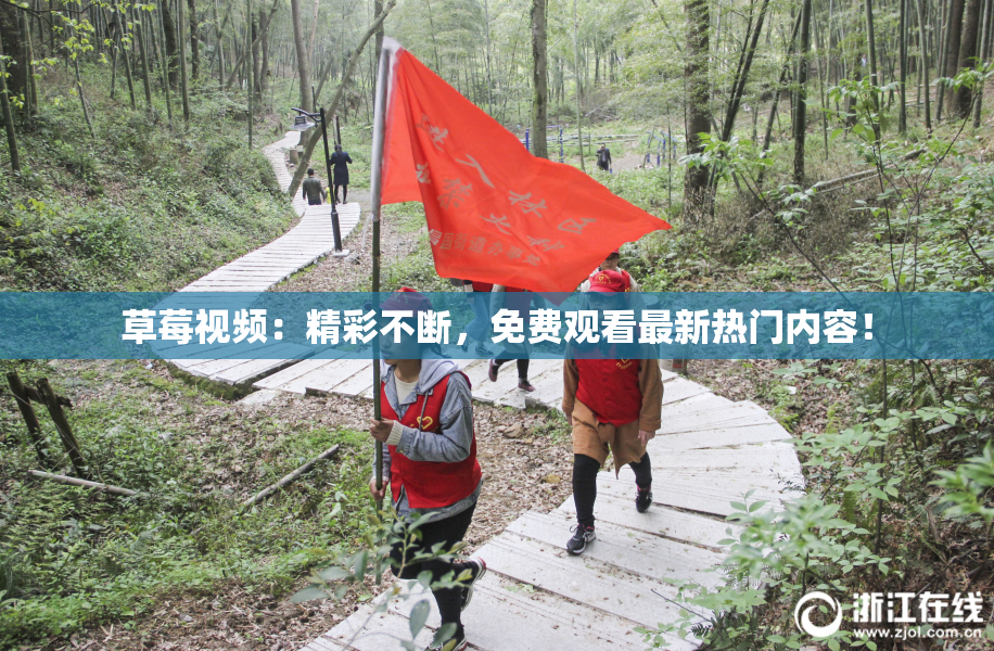草莓视频：精彩不断，免费观看最新热门内容！