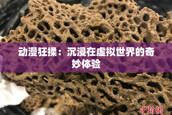 动漫狂揉：沉浸在虚拟世界的奇妙体验