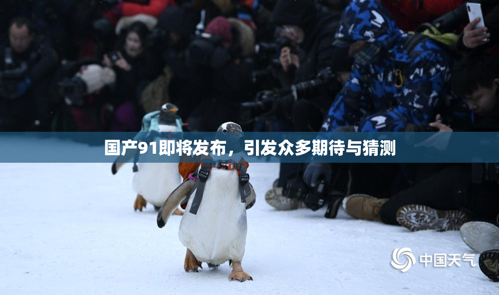 国产91即将发布，引发众多期待与猜测