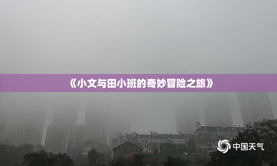 《小文与田小班的奇妙冒险之旅》