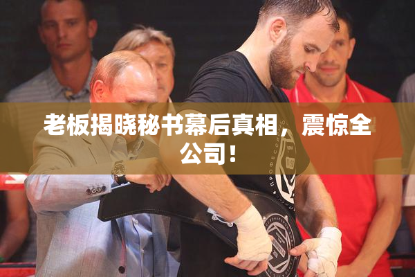老板揭晓秘书幕后真相，震惊全公司！