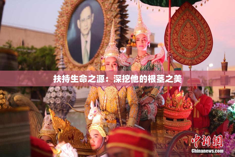 扶持生命之源：深挖他的根茎之美