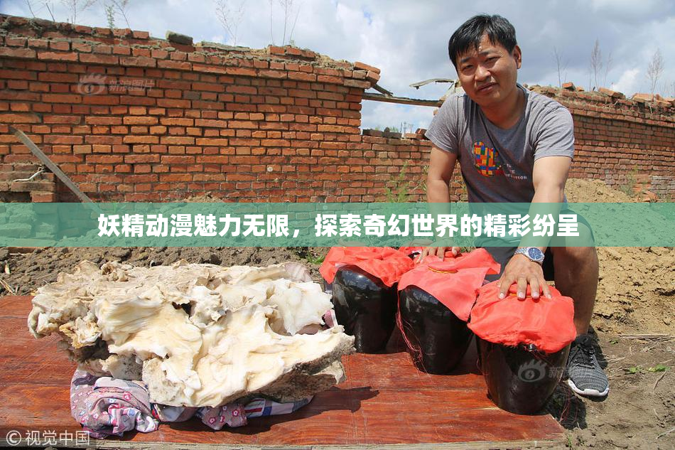 妖精动漫魅力无限，探索奇幻世界的精彩纷呈