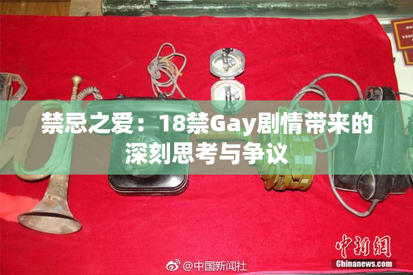 禁忌之爱：18禁Gay剧情带来的深刻思考与争议