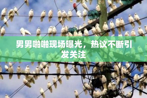 男男啪啪现场曝光，热议不断引发关注