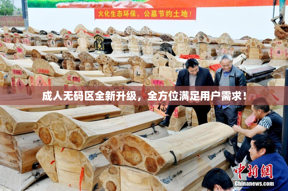 成人无码区全新升级，全方位满足用户需求！