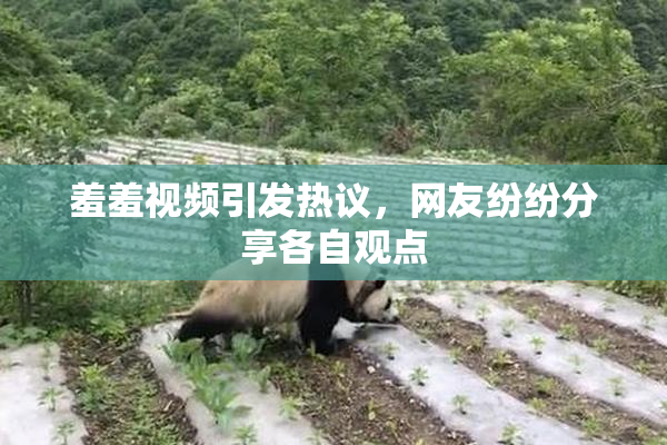 羞羞视频引发热议，网友纷纷分享各自观点