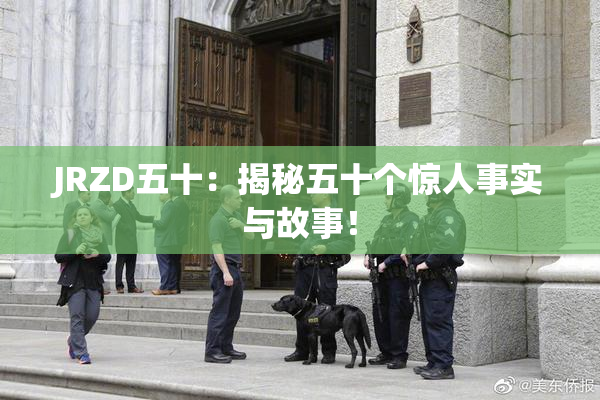 JRZD五十：揭秘五十个惊人事实与故事！