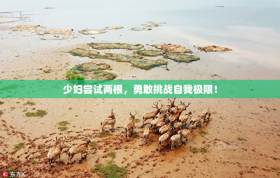 少妇尝试两根，勇敢挑战自我极限！