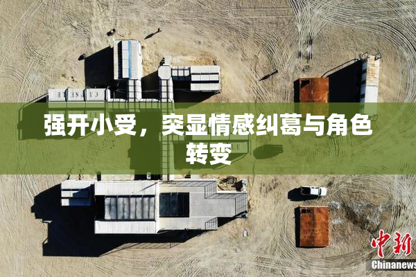 强开小受，突显情感纠葛与角色转变