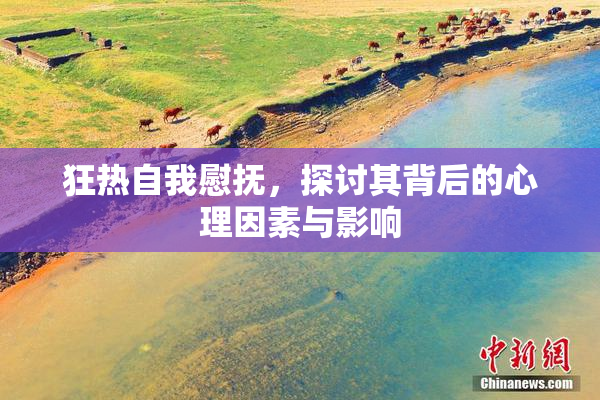 狂热自我慰抚，探讨其背后的心理因素与影响