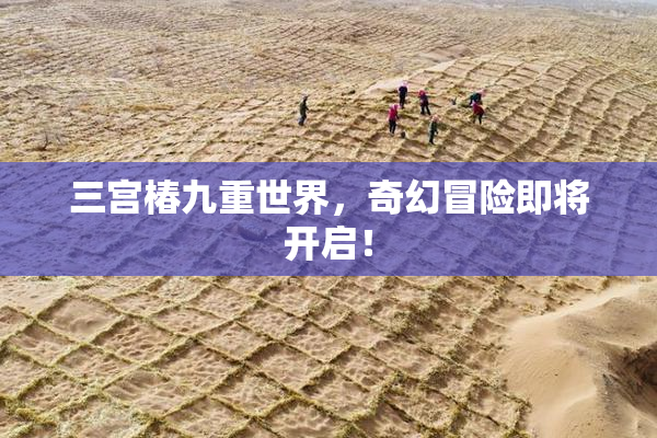 三宫椿九重世界，奇幻冒险即将开启！